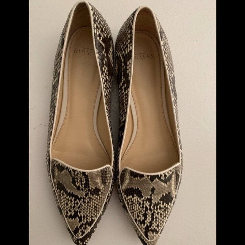 Run Small Euc Alexandre Birman Python Loafers - image 1